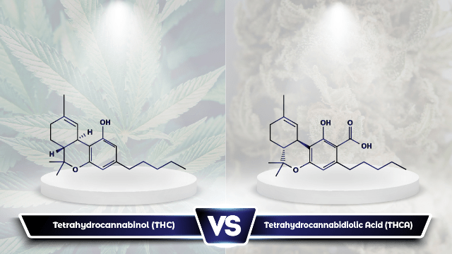 THCA Vs THC: What Are The Differences? – Convergence Laboratories